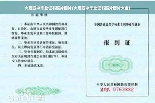 大理五中毕业证书照片图片(大理五中毕业证书照片图片大全)