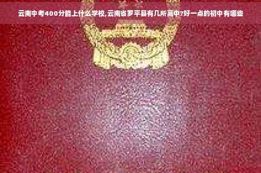 云南中考400分能上什么学校,云南省罗平县有几所高中?好一点的初中有哪些