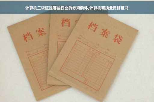 计算机二级证是哪些行业的必须条件,计算机有执业资格证书