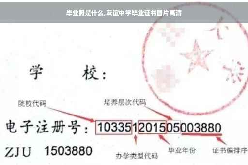 毕业照是什么,友谊中学毕业证书图片高清