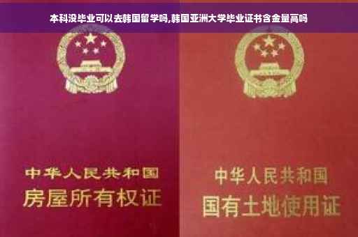 本科没毕业可以去韩国留学吗,韩国亚洲大学毕业证书含金量高吗