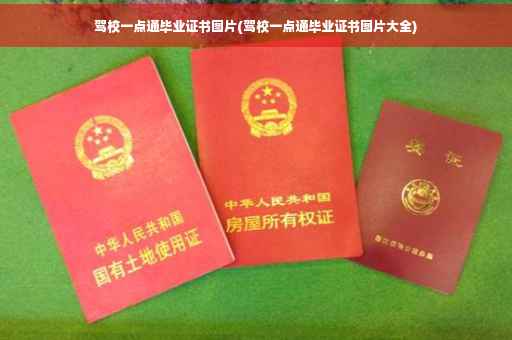 驾校一点通毕业证书图片(驾校一点通毕业证书图片大全)