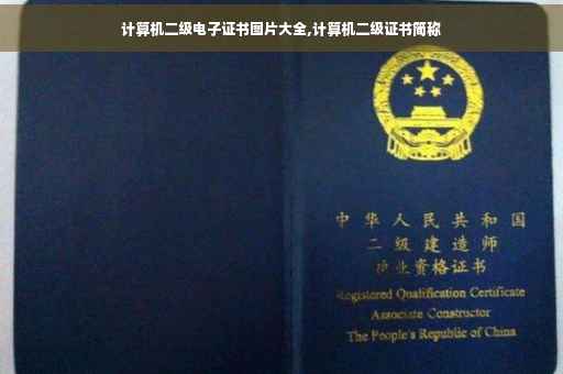 计算机二级电子证书图片大全,计算机二级证书简称