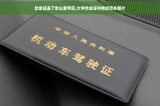 毕业证丢了怎么查学历,大学毕业证书格式范本图片