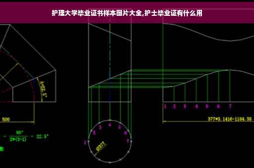 护理大学毕业证书样本图片大全,护士毕业证有什么用