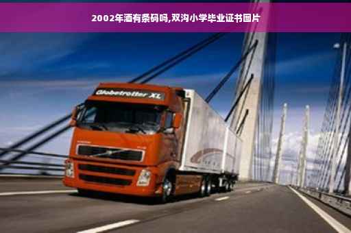 2002年酒有条码吗,双沟小学毕业证书图片