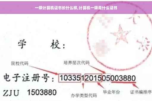 一级计算机证书长什么样,计算机一级是什么证书