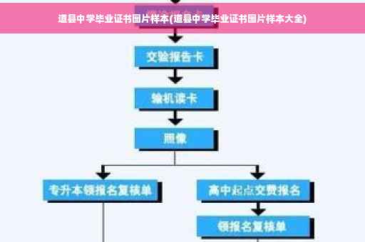 道县中学毕业证书图片样本(道县中学毕业证书图片样本大全)
