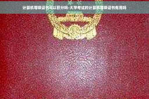 计算机等级证书可以积分吗-大学考试的计算机等级证书有用吗