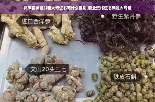 高级技师证书和大专证书有什么区别,职业资格证书就是大专证 高级技师证书和大专证书有什么区别,职业资格证书就是大专证