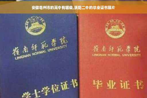 安徽亳州市的高中有哪些,涡阳二中的毕业证书图片