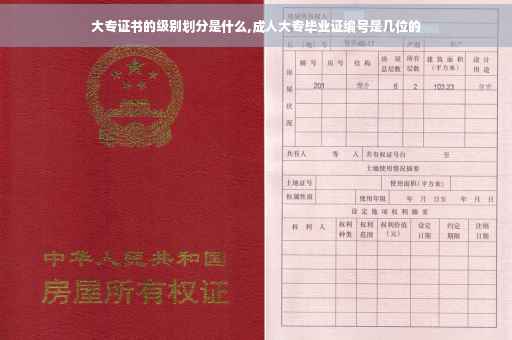 大专证书的级别划分是什么,成人大专毕业证编号是几位的