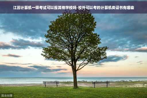 江苏计算机一级考试可以报其他学校吗-校外可以考的计算机类证书有哪些