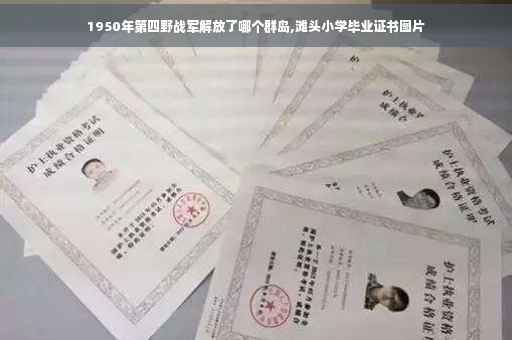 1950年第四野战军解放了哪个群岛,滩头小学毕业证书图片