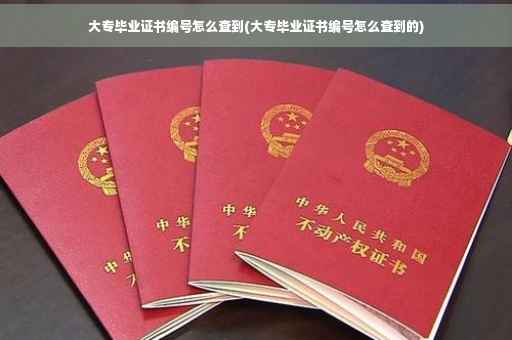 大专毕业证书编号怎么查到(大专毕业证书编号怎么查到的)