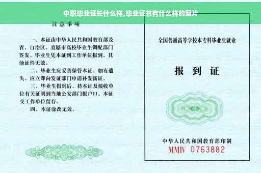 中职毕业证长什么样,毕业证书有什么样的图片