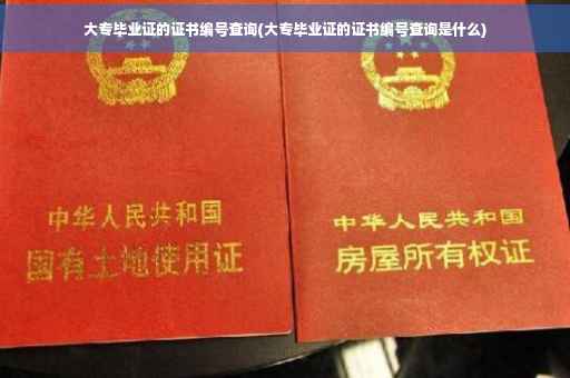 大专毕业证的证书编号查询(大专毕业证的证书编号查询是什么)