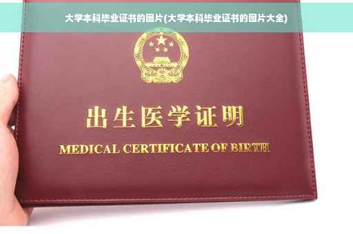 大学本科毕业证书的图片(大学本科毕业证书的图片大全)
