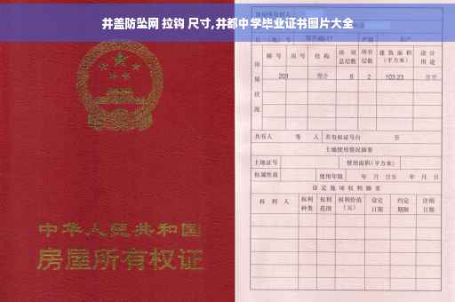 井盖防坠网 拉钩 尺寸,井都中学毕业证书图片大全