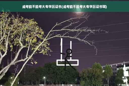 成考能不能考大专学历证书(成考能不能考大专学历证书呢)