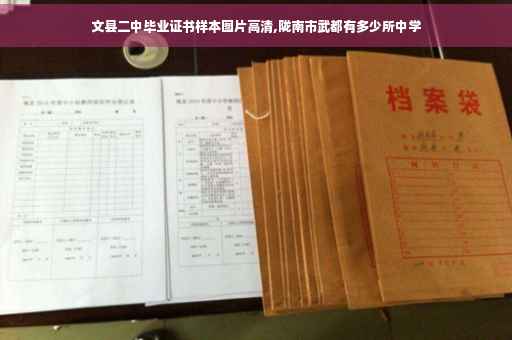 文县二中毕业证书样本图片高清,陇南市武都有多少所中学