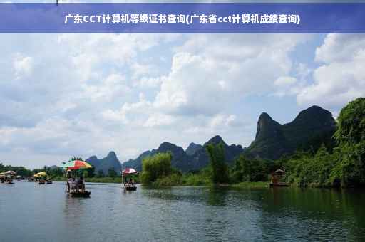 广东CCT计算机等级证书查询(广东省cct计算机成绩查询)