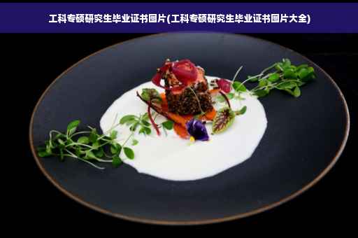 工科专硕研究生毕业证书图片(工科专硕研究生毕业证书图片大全)