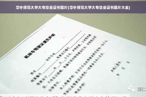 华中师范大学大专毕业证书图片(华中师范大学大专毕业证书图片大全)