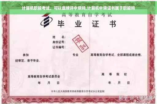 计算机职称考试，可以直接评中级吗,计算机中级证书属于职称吗