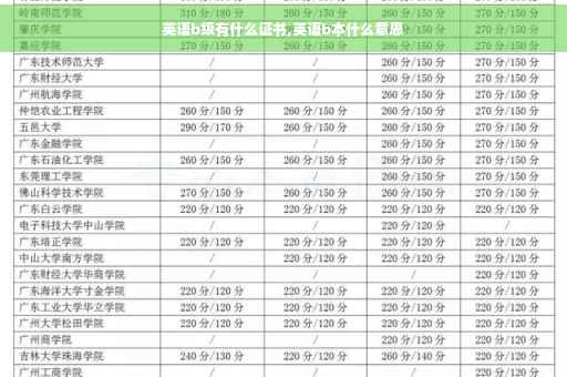 英语b级有什么证书,英语b本什么意思