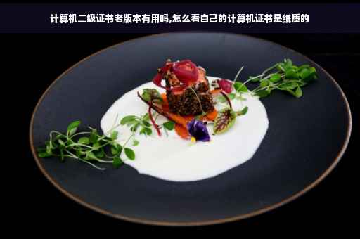 计算机二级证书老版本有用吗,怎么看自己的计算机证书是纸质的