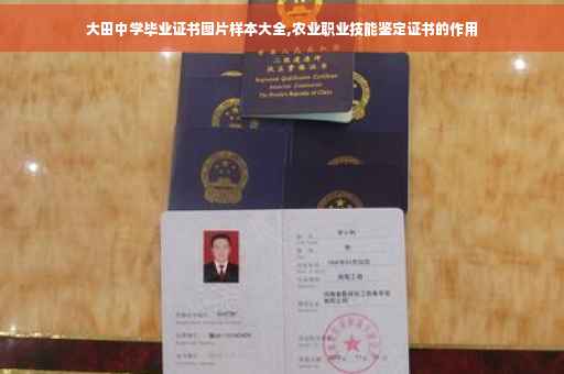 大田中学毕业证书图片样本大全,农业职业技能鉴定证书的作用