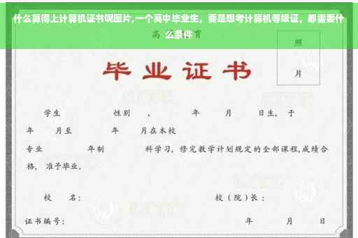什么算得上计算机证书呢图片,一个高中毕业生，要是想考计算机等级证，都需要什么条件