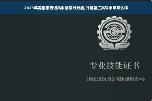 2023年舞钢市普通高中录取分数线,叶县第二高级中学怎么样