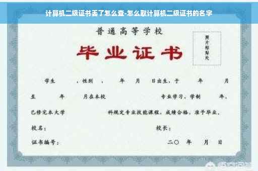 计算机二级证书丢了怎么查-怎么取计算机二级证书的名字