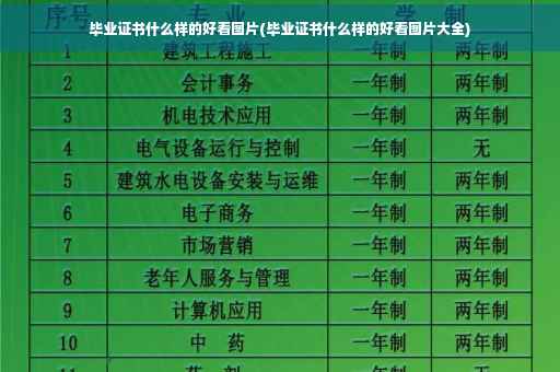 毕业证书什么样的好看图片(毕业证书什么样的好看图片大全)