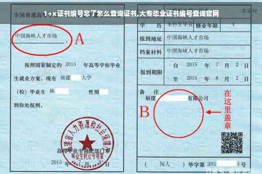 1+x证书编号忘了怎么查询证书,大专毕业证书编号查询官网