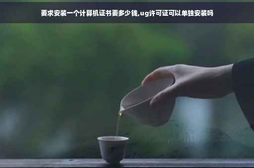 要求安装一个计算机证书要多少钱,ug许可证可以单独安装吗