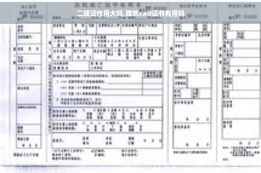 二建证作用大吗,建筑cad证书有用吗