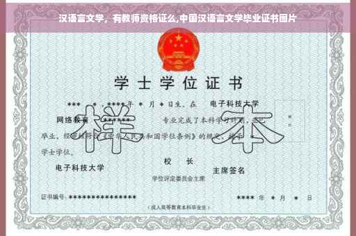 汉语言文学，有教师资格证么,中国汉语言文学毕业证书图片