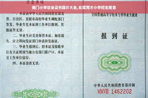 南门小学毕业证书图片大全,东莞育才小学招生简章