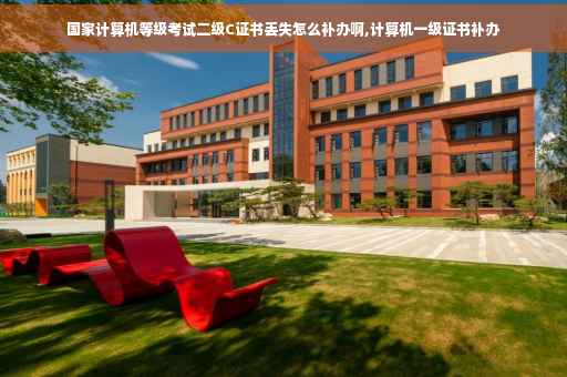 国家计算机等级考试二级C证书丢失怎么补办啊,计算机一级证书补办