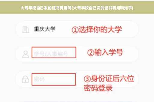 大专学校自己发的证书有用吗(大专学校自己发的证书有用吗知乎)