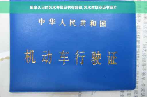 国家认可的艺术考级证书有哪些,艺术生毕业证书图片