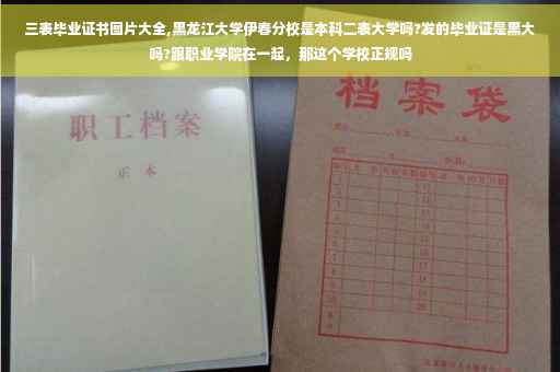 三表毕业证书图片大全,黑龙江大学伊春分校是本科二表大学吗?发的毕业证是黑大吗?跟职业学院在一起，那这个学校正规吗