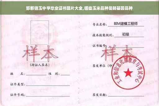 邯郸锦玉中学毕业证书图片大全,哪些玉米品种是转基因品种