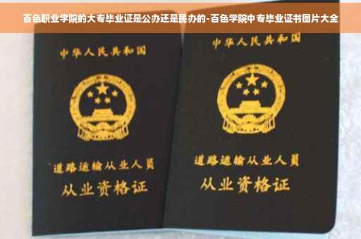 百色职业学院的大专毕业证是公办还是民办的-百色学院中专毕业证书图片大全