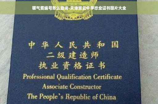 暖气费编号怎么查询-天津紫云中学毕业证书图片大全