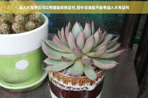 成人大专学历可以考哪些资格证书,初中毕业能不能考成人大专证书