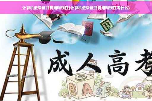 计算机低级证书有用吗现在(计算机低级证书有用吗现在考什么)